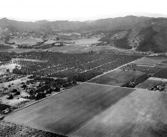 Studio City 1919